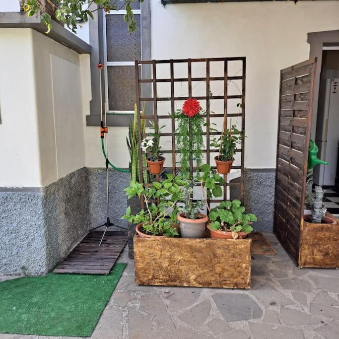 Chale Funchal - City View Luaran gambar